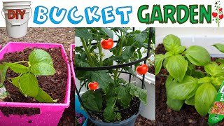 DIY Bucket Garden (Easy and Fun!)