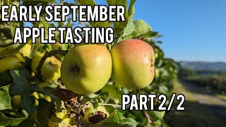 Keepers Nursery apple tasting 4th September 2023. Early apple varieties comparisons part 2/2