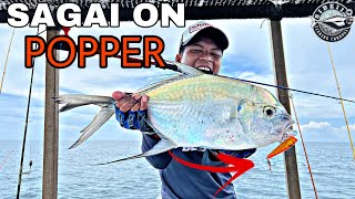 SAGAI ON POPPER RAYA KE 7 | ULTRALIGHT JIGGING