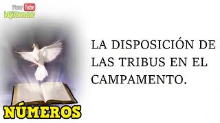 Libro Completo de Números — Biblia Católica — Voz Femenina.