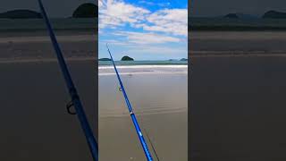 #shorts...Pesca de praia em Ubatuba SP