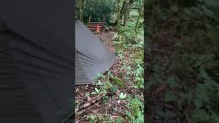 My bushcraft campsite one Tigris iron wall tent