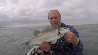 Menai Strait Bass Fishing Clip1 August 2021 Boat Fishing