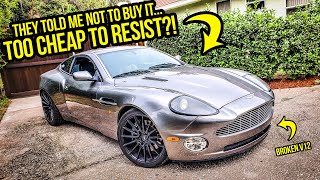 I Bought A Cheap Car Everyone Told Me NOT To Buy...And 2 More! (I Have A PROBLEM) - GARAGE UPDATE