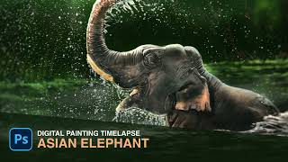 Drawing Asian Elephant | Digital Painting Timelapse