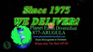 High Quality Hot Sauce to the Moon!  Since 1975 We Deliver!