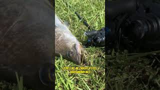 NEW JDM Mouse Lure Catches Exotic Fish!