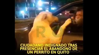 mujer intentó abandonar a su perro en Quito El can tras ser abandonado empezó a perseguir a su dueña