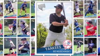 2016 Palisades WBL Yankees- Bo Muschinsky