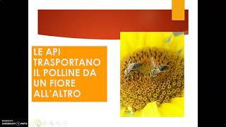 RIPRODUZIONE DELLA PIANTA - 1^parte: impollinazione, fecondazione, formazione del seme.