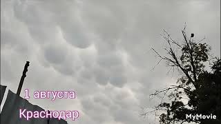 вот оно какое, наше лето ☔Краснодар, 1 августа