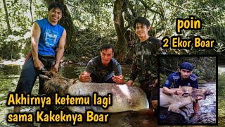 Babi Hutan Besar