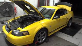 2004 Mach 1 -  Nitrous 100 shot