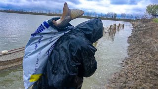 Fishing documentary: Catch the biggest fish in the lake - My fishing story