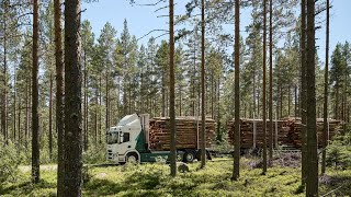 The world's first electric timber truck in action