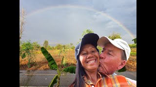 We Built a Small House on the Farm - Rural Thailand