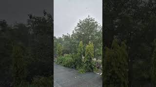 rain beautiful short video #shorts #rain orignal rain sound