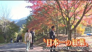 “日本一の紅葉”「もみじ湖」に多くの観光客　今年新たに「熱気球のフライト体験」