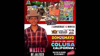 MASECA DE JALISCO COLUSA CALIFORNIA LA CAPITAL DEL JARIPEO 2024