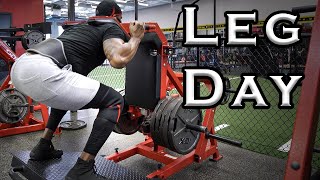 The Best Leg Workout to Build Strong Legs | New Leg Day Split