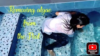 Removing algae from the Pool