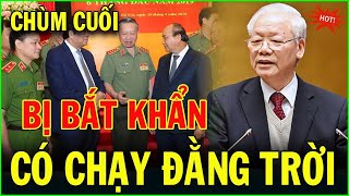 Tin pháp luật nhanh và chính xác ngày 30/5/2023 Tin pháp luật việt nam mới nhất hôm nay | #NóngPlus