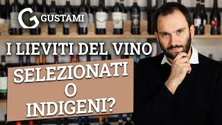 I lieviti del vino - Selezionati o Indigeni?