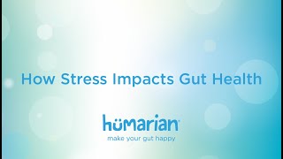 How Stress Impacts Gut Health