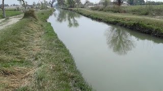 Beautiful Canal View | Agriculture |#pakistan #canal #video