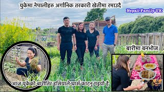 खेतबारीमा बनभोज |आजको हाम्रो Vlog युकेको तरकारीबरीमा |Nepali Growing Organic Vegetables in Free Time