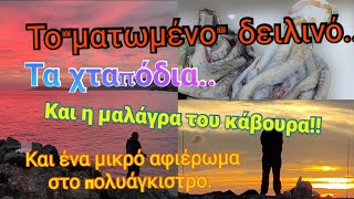 Το ματωμένο δειλινό, η μαλάγρα του κάβουρα, και τα χταπόδια!!