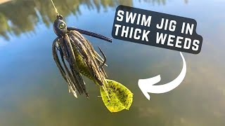 Swim Jig Bass fishing (How to catch bass in thick weeds)