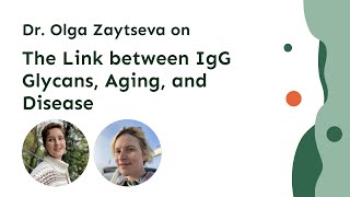 The Link between IgG Glycans, Aging, and Disease: Regulation of Glycosylation with Dr. Olga Zaytseva