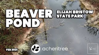 BEAVER POND | ELIJAH BRISTOW STATE PARK | FEB 2021