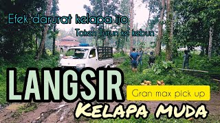 langsir kelapa muda /Gran max pick up