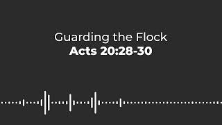 Guarding the Flock | Acts 20:28-30