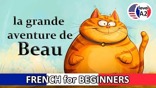 🇫🇷 FRENCH Story for BEGINNERS: la grande aventure de Beau 🇫🇷