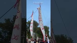 8 Muharram Juloos #molaabbas #hazratabbas #muharram #procession #karbala #hyderabad #subscribe