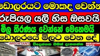 2023/6/19- අද ඩොලරයට මොකද උනේ- exchang rate today /floating exchang rate /foreign currency rate