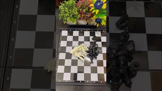 Magnetic chess board unboxing | Honest review #unboxing #shopping #educational #flipkart #gift