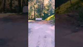 Dil Galti Kar Baitha Hai | Nainital Uttarakhand #shorts #nature #nainital #travel #vlog#hills#forest