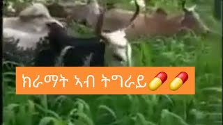 ክራማት ኣብ ትግራይ 💊💊💊