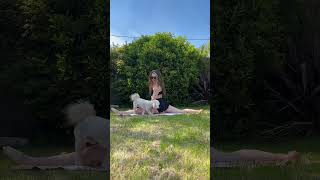 Yoga In The Sun ☀️💛 #shortvideo #witchvibes #yogapractice #shortsfeed #yogaroutine #yoga #sun