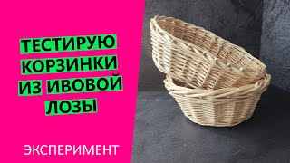 ЭКСПЕРИМЕНТ! 💪🔴Тестирую корзинки из ИВОВОЙ лозы