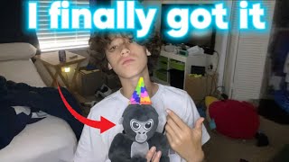 I finally got it…(gorilla tag plush)