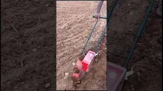 Automatic seeding system / #farming #farmer / MMGC kingdom