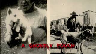 10 Shocking Ghost Sightings Caught On Camera