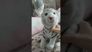 я тигр🐯