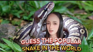 GUESS THE POPULAR SNAKE IN THE WORLD.