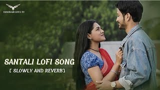 New_Santali_Traditional_Song_2024_🎵_Santali_Traditional_Song_2024 #santalilofisong #santalilofi